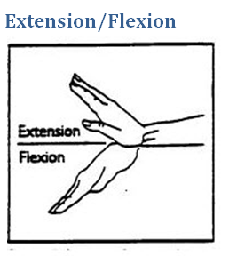 extension-vs-flexion.png